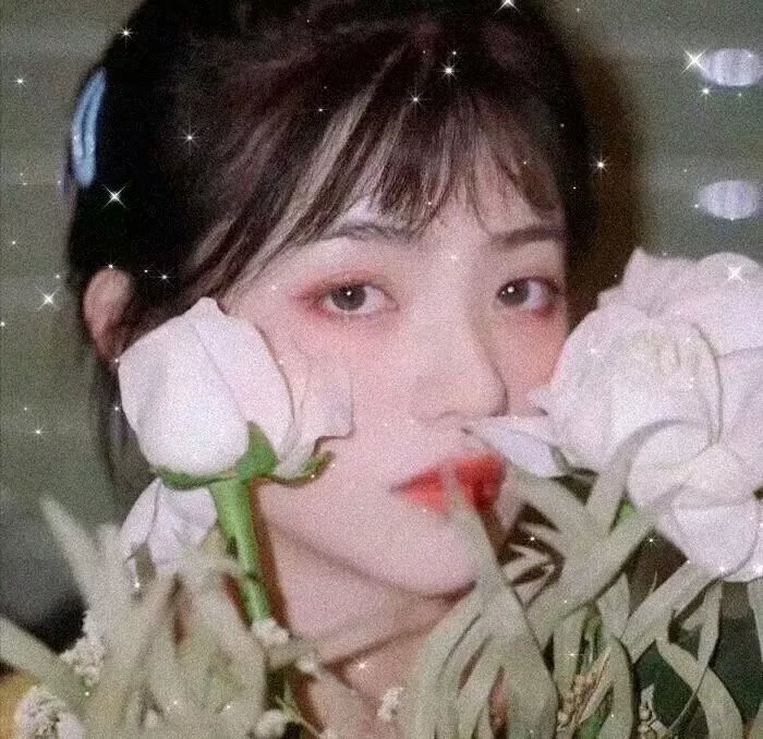 遥之光